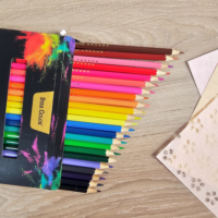 LAPICES DE COLORES 24U 528028