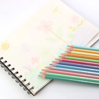 LAPICES DE COLORES PASTEL 12U ¨MOTARRO¨